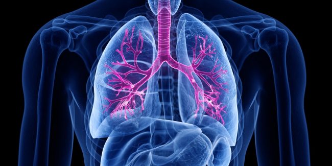 什么是慢性阻塞性肺病 (Chronic Obstructive Pulmonary Disease)，為何與新冠疫情有關？
